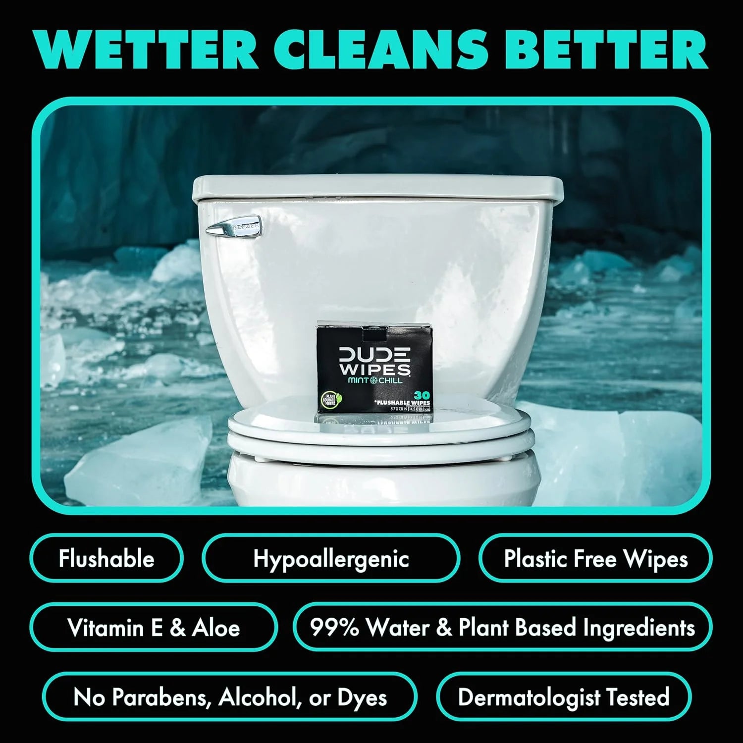 DUDE Wipes On-The-Go Mint Chill Adult Flushable Travel Wipes, 60 Count