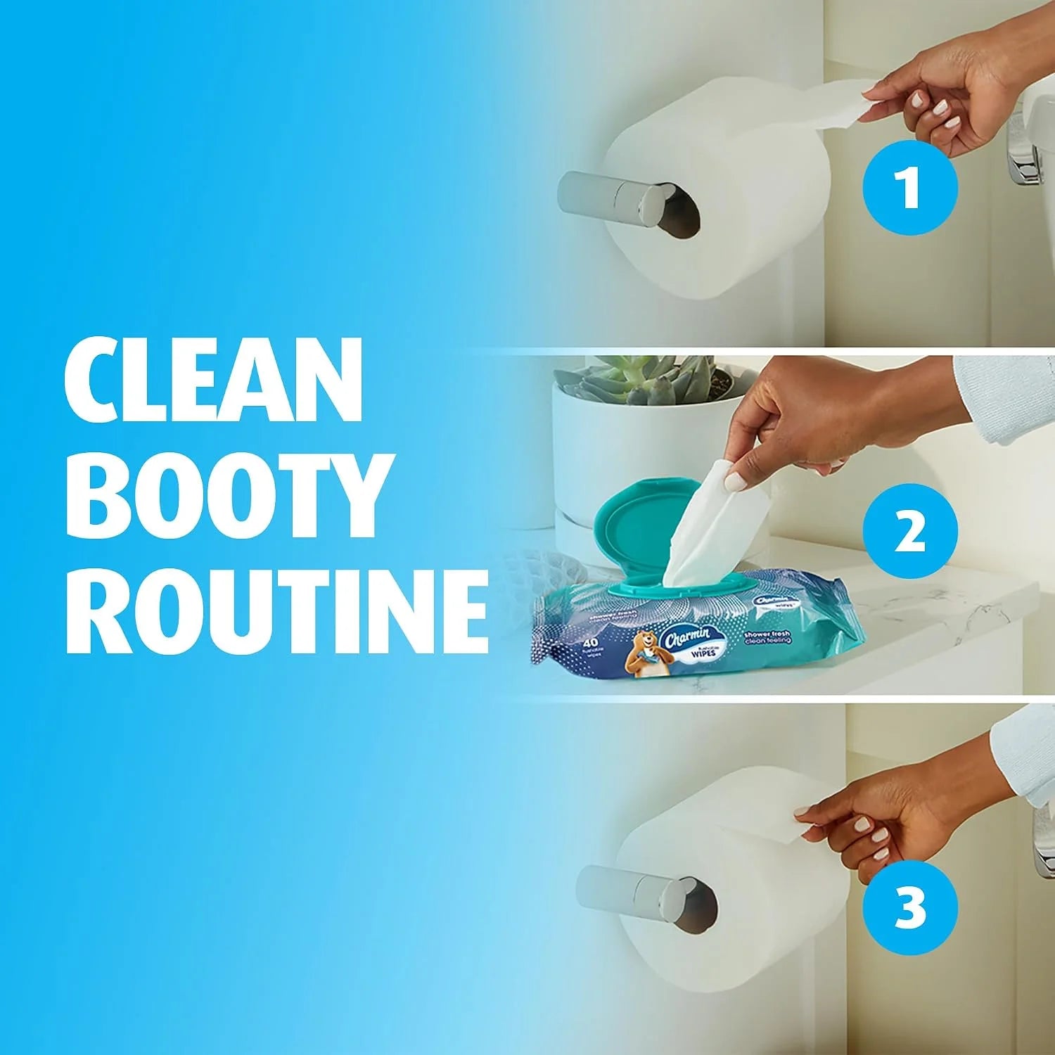 Charmin Flushable Wipes, 480 Total Wipes (12 Packs of 40)