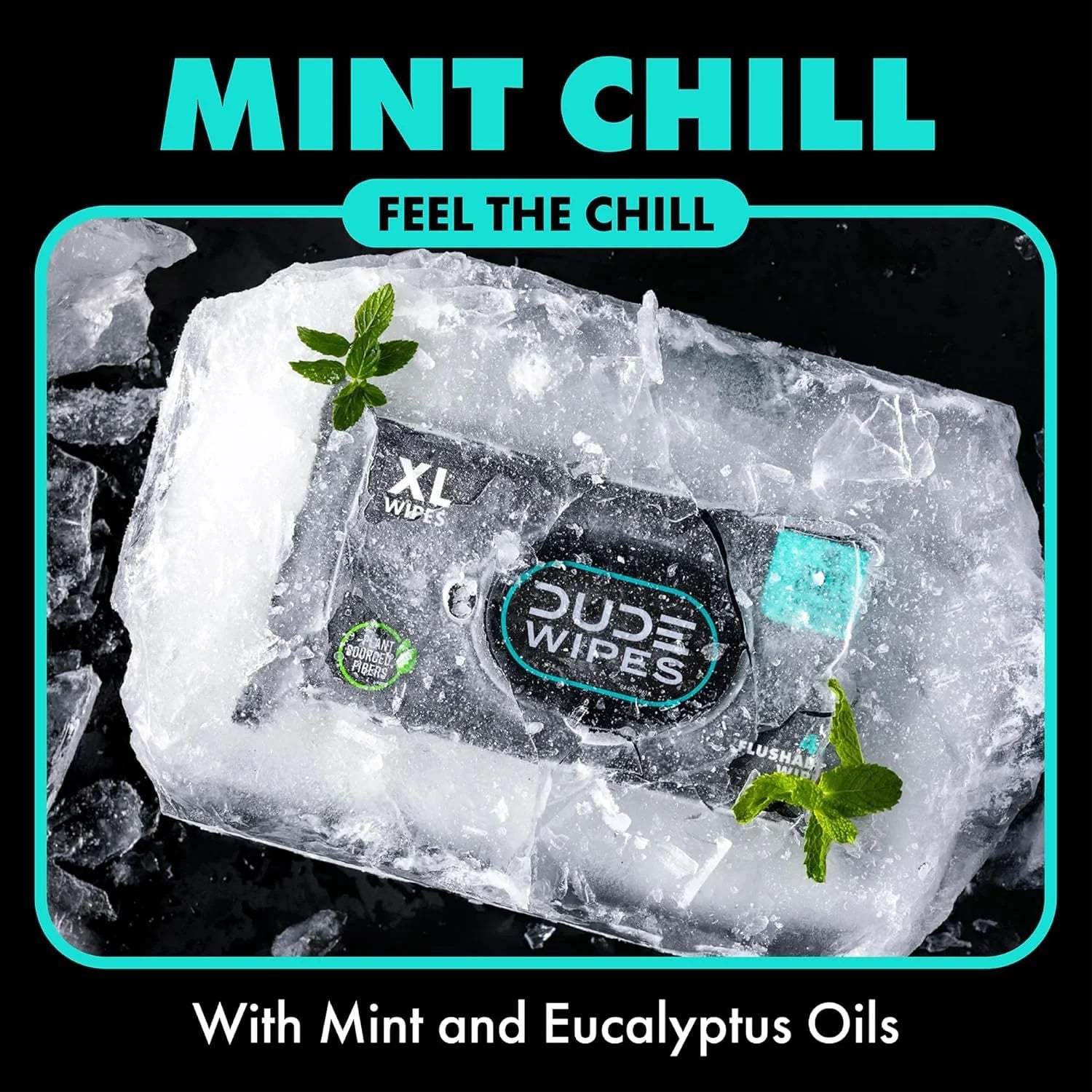 DUDE Wipes Mint Chill Adult Flushable Wet Wipes, Refreshing, 48 Count