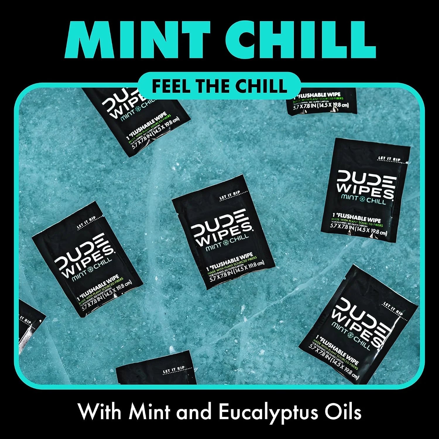 DUDE Wipes On-The-Go Mint Chill Adult Flushable Travel Wipes, 60 Count