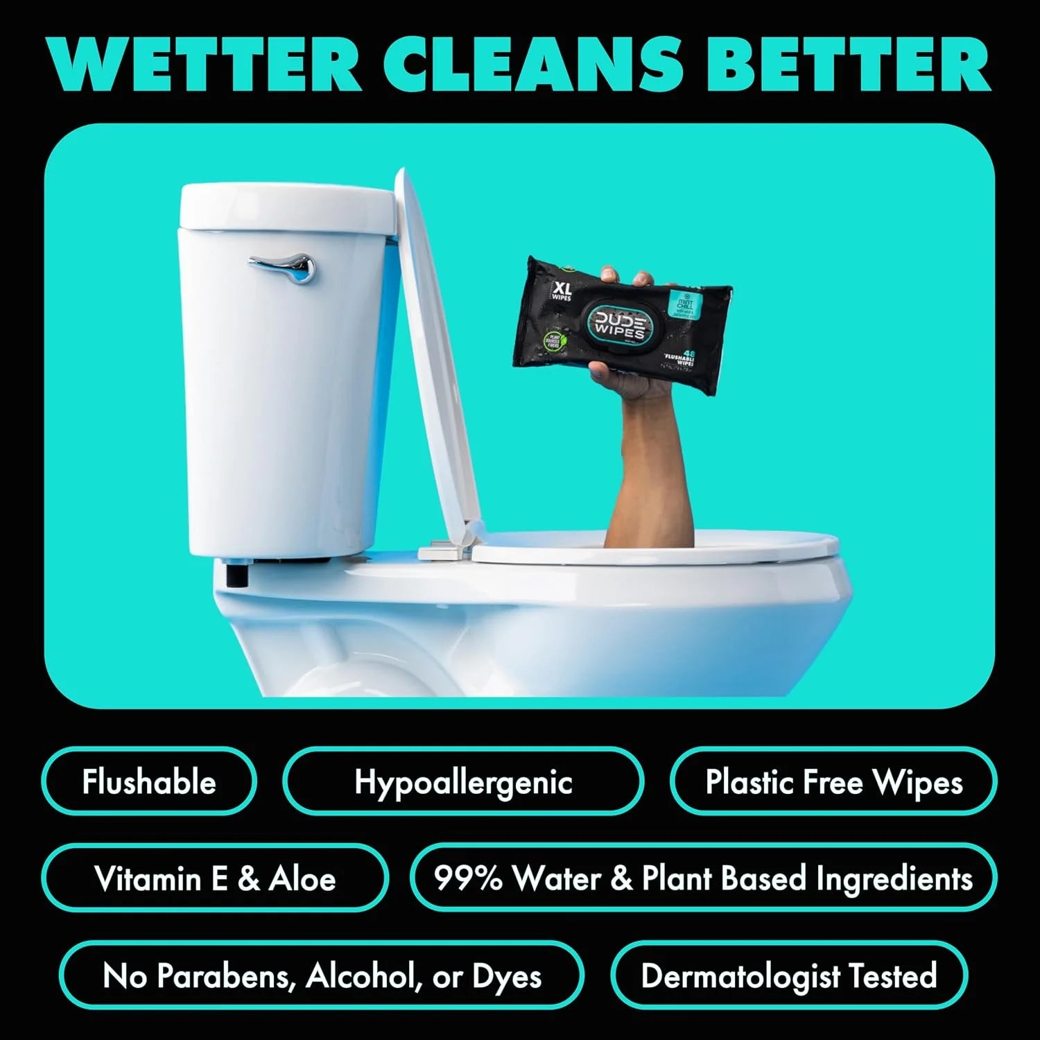 DUDE Wipes Mint Chill Adult Flushable Wet Wipes, Refreshing, 48 Count