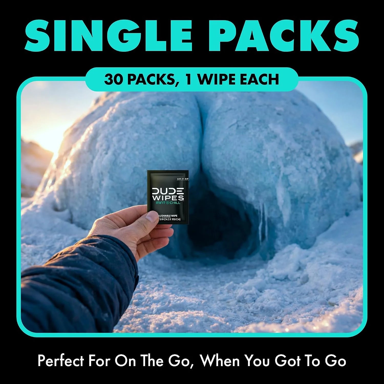 DUDE Wipes On-The-Go Mint Chill Adult Flushable Travel Wipes, 60 Count