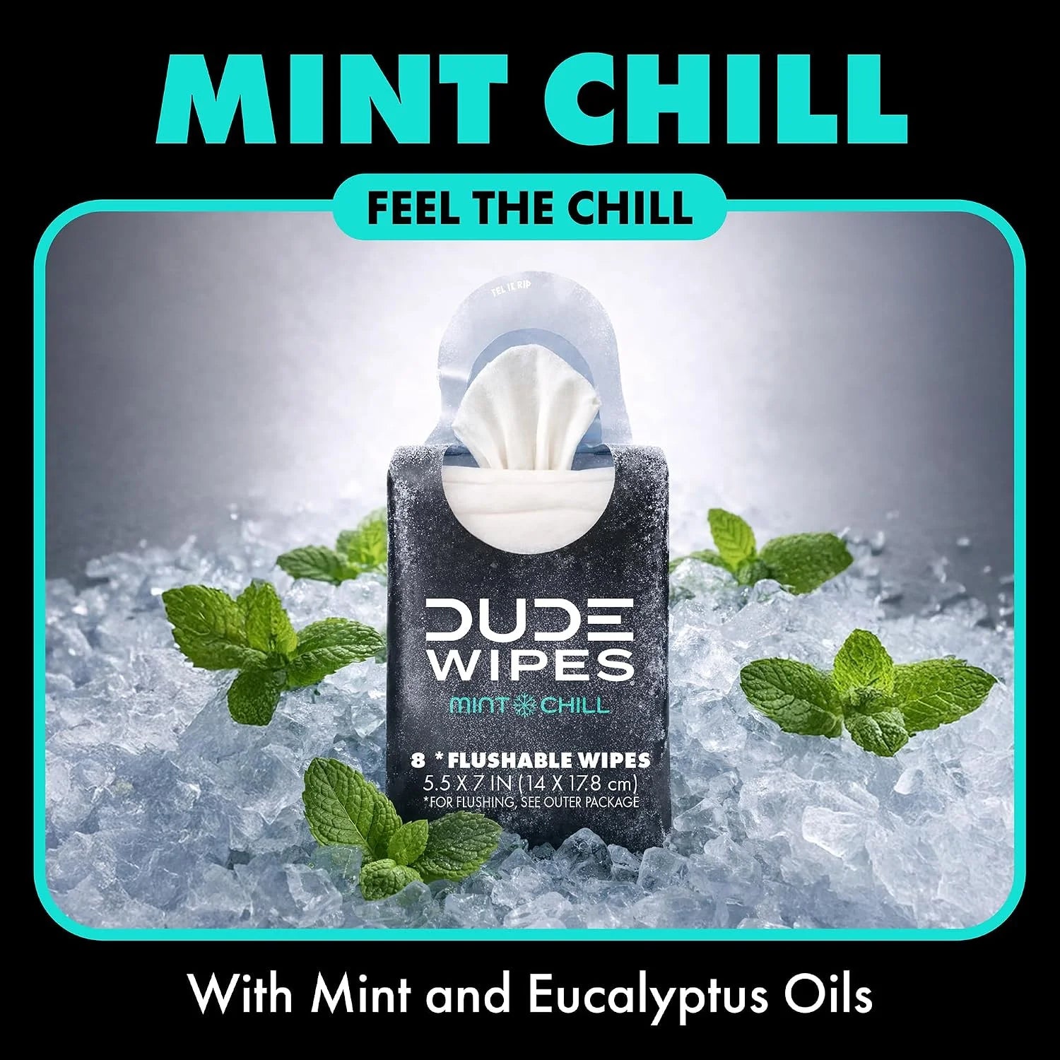 DUDE Wipes Mint Chill Pocket Packs, Adult Flushable Travel Wipes, 96 Count